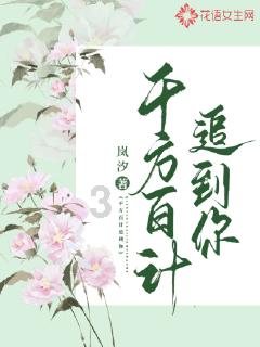 崩坏3