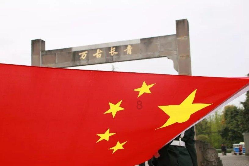 哥特舰队